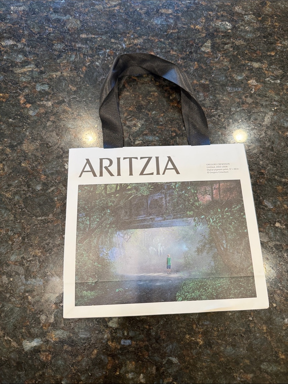 Aritzia White Tote Bag with Black Ribbon Handles and Front Art Panel.Small New!